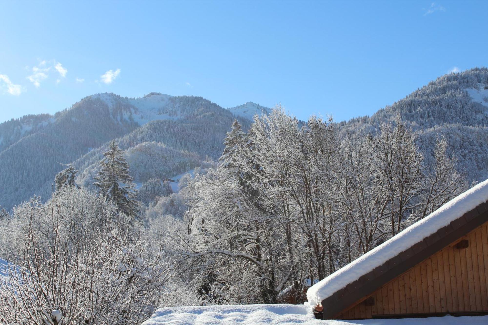Multi Residences Samoëns Εξωτερικό φωτογραφία